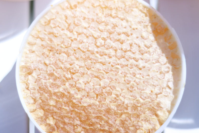 Gourmet Honeycomb Rounds - 8 oz